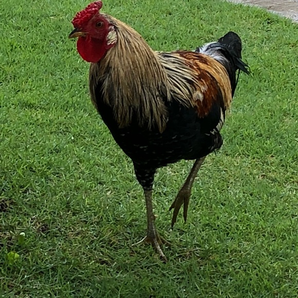 jhsiii77